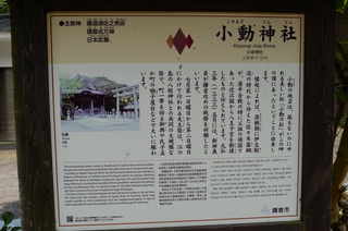 DSC_9053.JPG