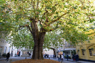DSC_9074.JPG