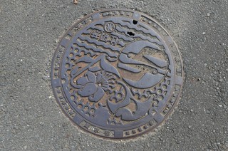 DSC_9217.JPG