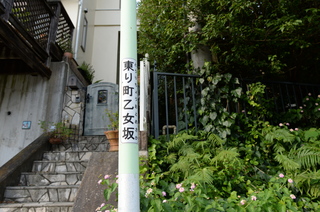 DSC_9218.JPG