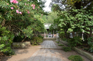 DSC_9233.JPG