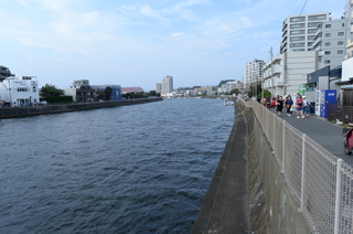 DSC_9295.JPG