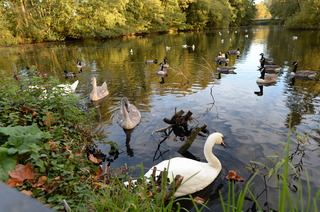 DSC_9411.JPG