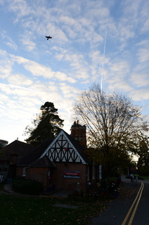 DSC_9439.JPG