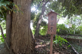 DSC_9447.JPG