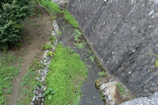 DSC_9521.JPG