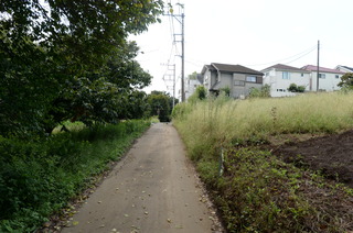DSC_9557.JPG
