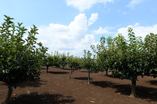 DSC_9591.JPG