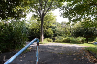 DSC_9618.JPG