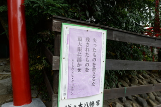 DSC_9821.JPG