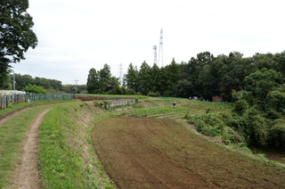 DSC_9994.JPG