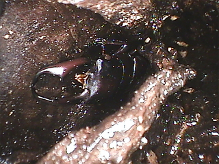 IV000027.JPG