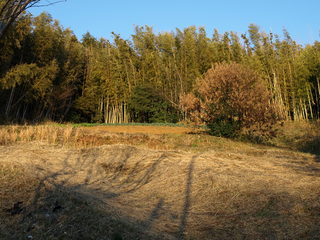 P1019712.JPG