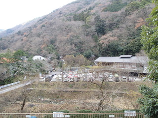 P1020007.JPG