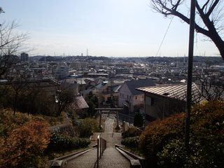 P1030006.JPG