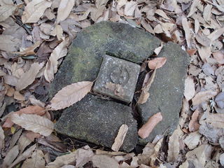 P1030021.JPG