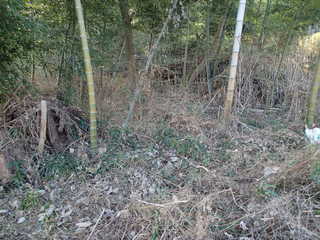 P1080003.JPG