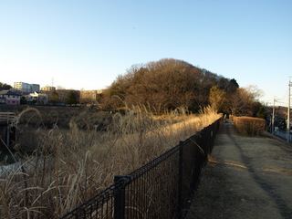 P1130281.JPG