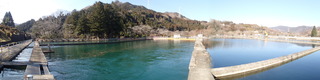 P1160080.JPG