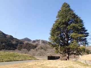 P1160108.JPG