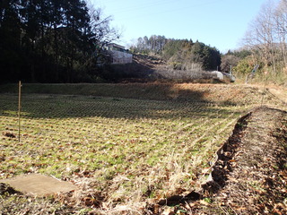 P1190002.JPG