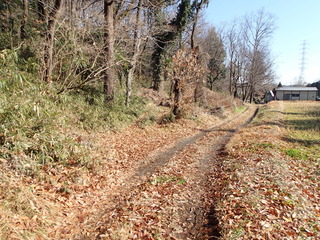 P1190005.JPG