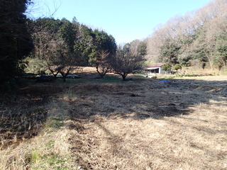 P1190041.JPG
