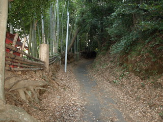 P1190489.JPG