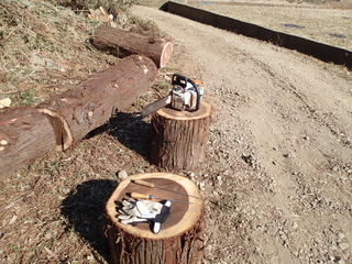 P1220004.JPG