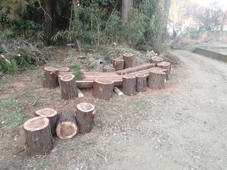 P1220030.JPG