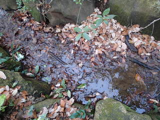 P1250006.JPG