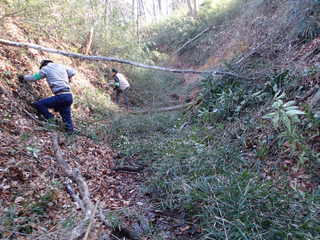 P1250037.JPG