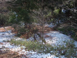 P1260011.JPG