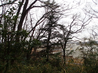 P1260030.JPG