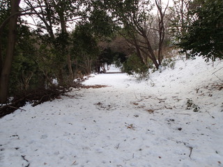P1280017.JPG