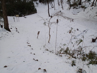 P1280021.JPG