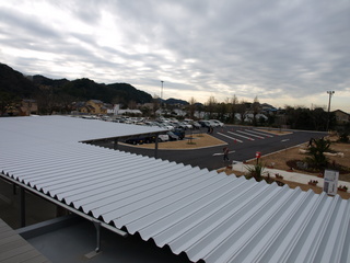 P2033683.JPG
