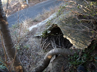 P2046286.JPG