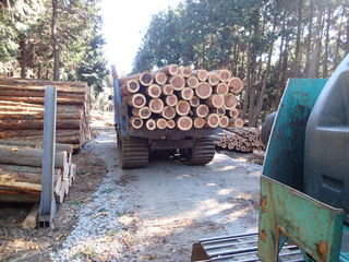 P2100011.JPG