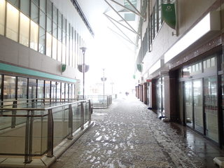 P2150028.JPG