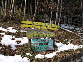 P2179794.JPG
