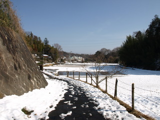 P2179891.JPG