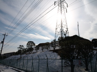 P2179919.JPG