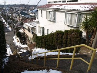 P2179934.JPG