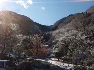 P2180003.JPG