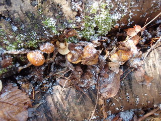 P2180012.JPG