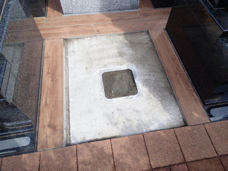 P2210006.JPG