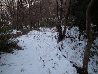 P2210006.JPG