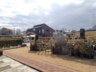 P2210007.JPG