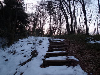 P2210009.JPG